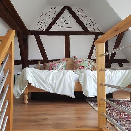 Rheingau - Schoene Moeblierte Ferienwohnung Eltville am Rhein Exteriér fotografie