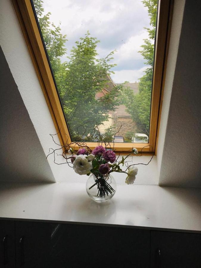 Rheingau - Schoene Moeblierte Ferienwohnung Eltville am Rhein Exteriér fotografie