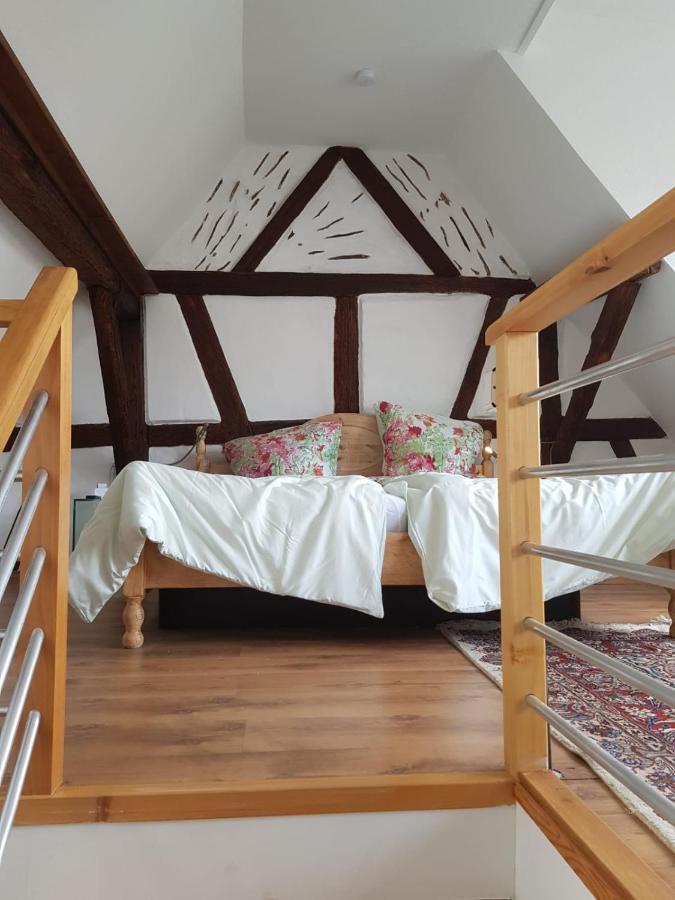 Rheingau - Schoene Moeblierte Ferienwohnung Eltville am Rhein Exteriér fotografie